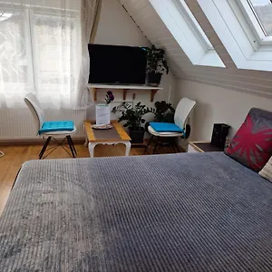 Családi Haz Homestay szállás